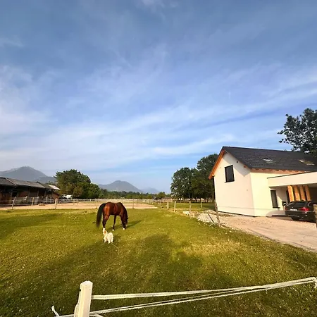 Σαλέ Sitara's Μπλεντ