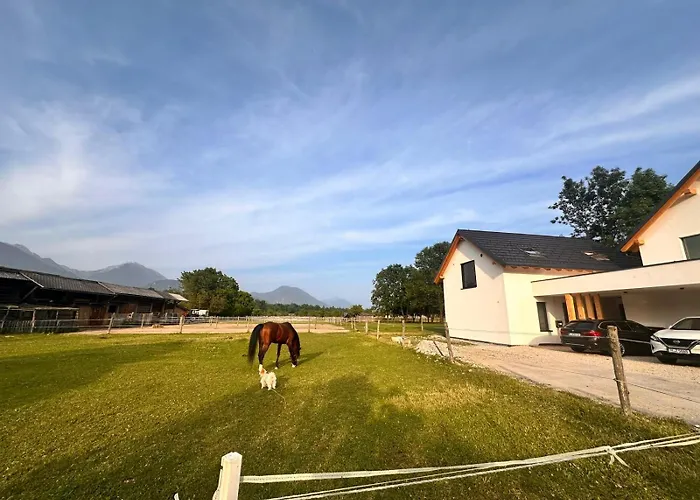 Chalé Sitara's Bled